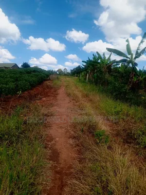 1.5 Acres of Land in Kiwenda Behind the Town