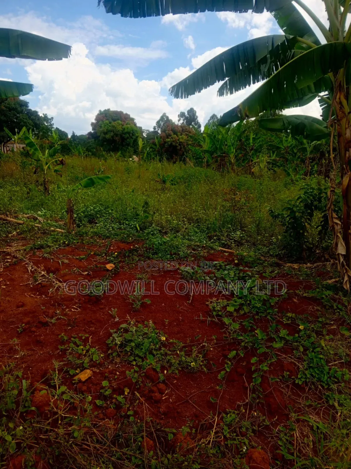 1.5 Acres of Land in Kiwenda Behind the Town