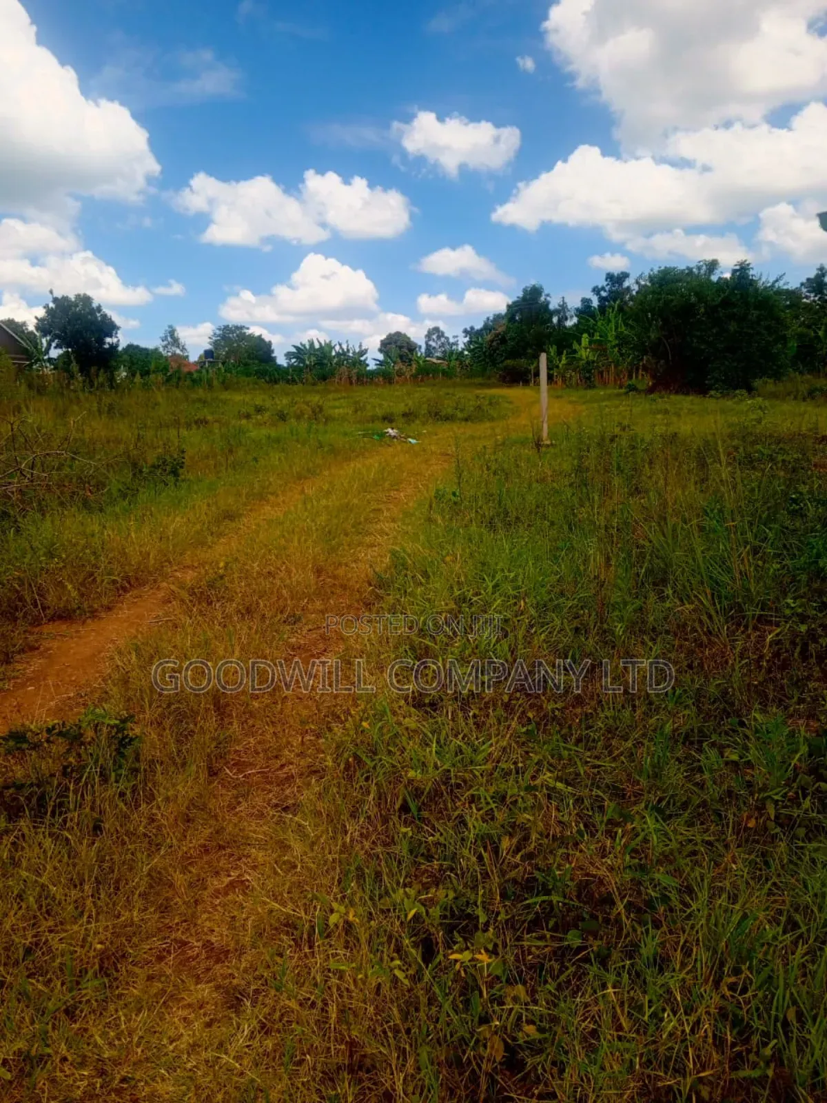 1.5 Acres of Land in Kiwenda Behind the Town