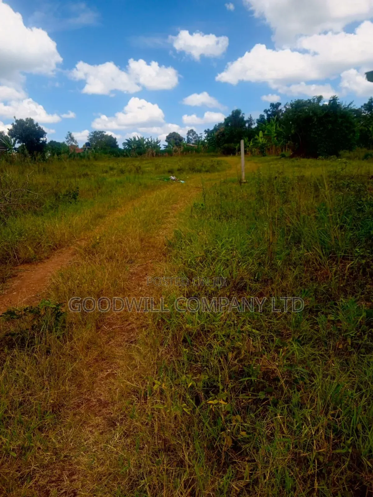 1.5 Acres of Land in Kiwenda Behind the Town