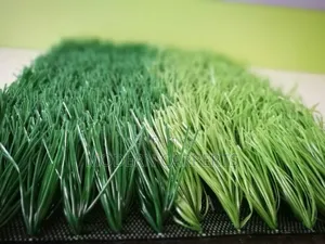 Certified Futss Artificial Turf