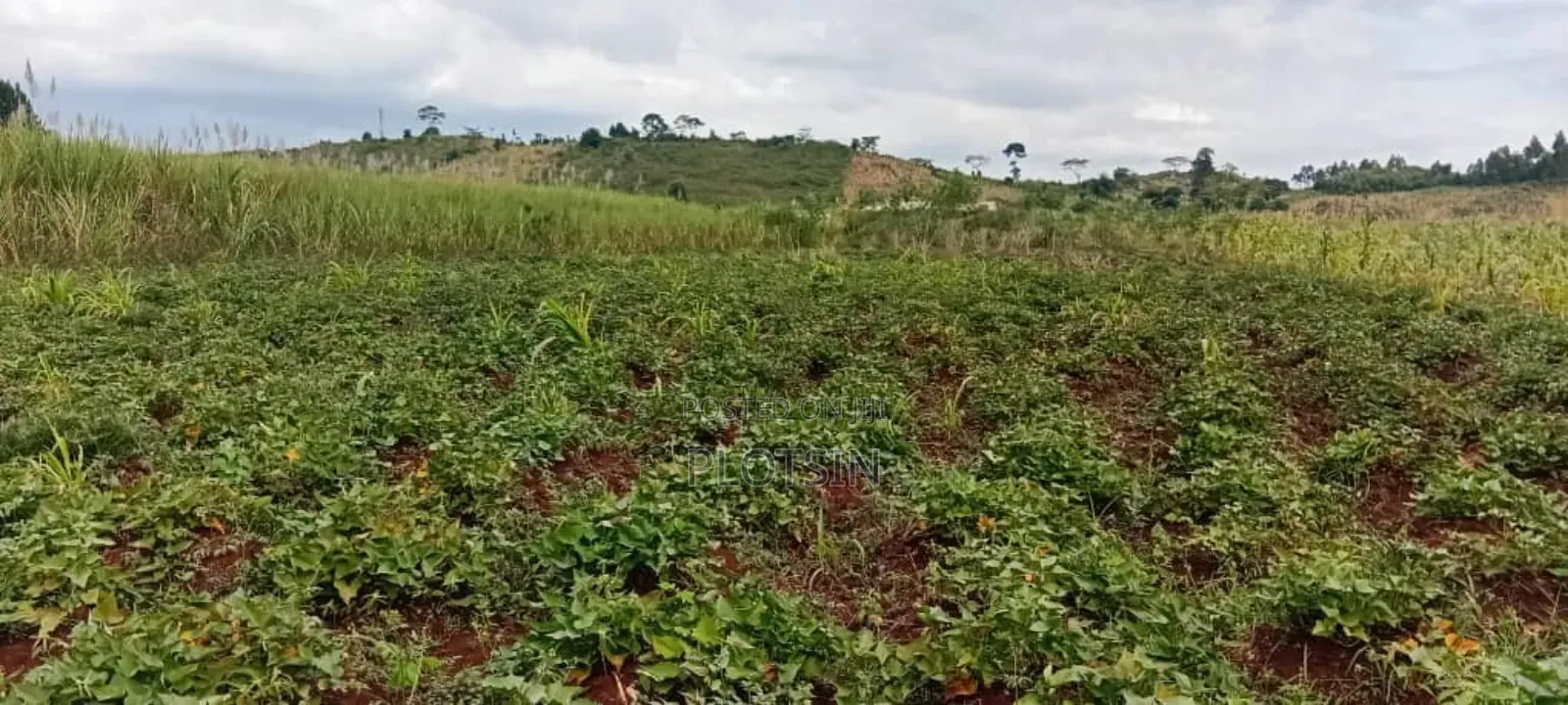 One Acre for Sale at 23m – Kagoma, Jinja