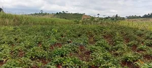 One Acre for Sale at 23m – Kagoma, Jinja
