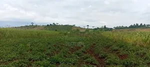 One Acre for Sale at 23m – Kagoma, Jinja