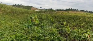 One Acre for Sale at 23m – Kagoma, Jinja