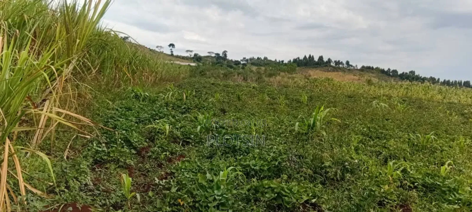 One Acre for Sale at 23m – Kagoma, Jinja
