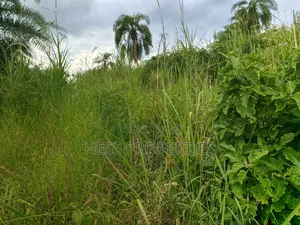 Agricultural Land on Sale