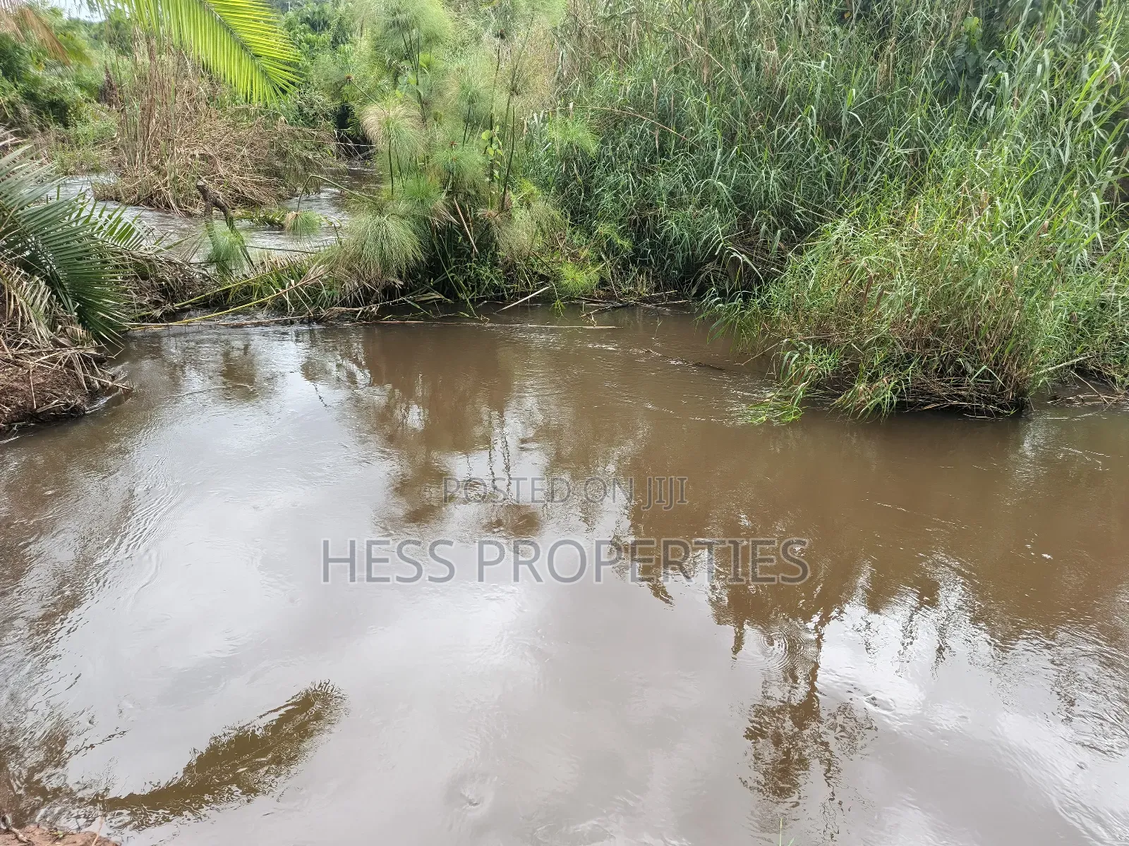 Agricultural Land on Sale