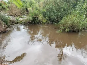 Agricultural Land on Sale