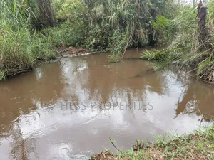Agricultural Land on Sale