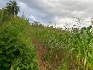 Agricultural Land on Sale