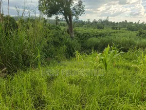 Agricultural Land on Sale
