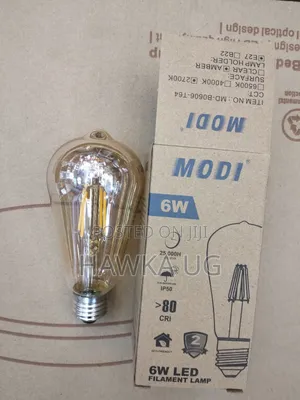6w Modi Filament Bulb