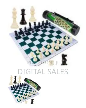 Portable Roll-Up Chess Set With Carrying Case - Multicolor