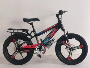 Size 20 Bicycle 9 To 17 Years