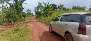 1 Acre Of Sugarcane-covered Land For Sale – Muguluka,Jinja District