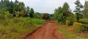 1 Acre Of Sugarcane-covered Land For Sale – Muguluka,Jinja District