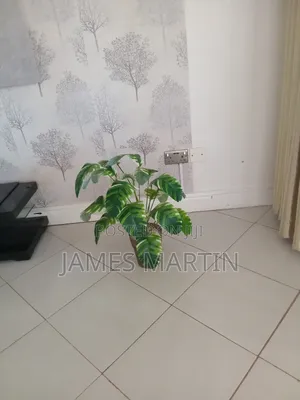 Furnished 2bdrm Apartment in Jm Apartments, Makindye for rent