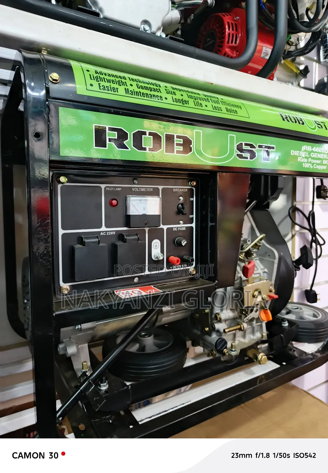 Robust ( Diesel Generator)