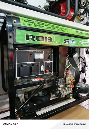 Robust ( Diesel Generator)