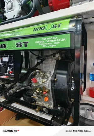 Robust ( Diesel Generator)