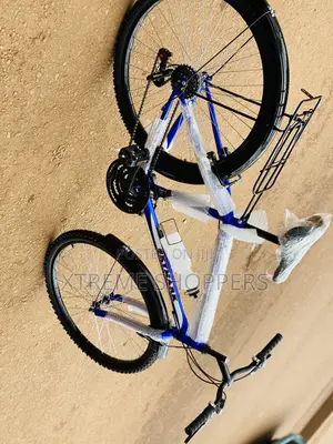 Skymark. Bicycle/Bike /Size 26”/Racked