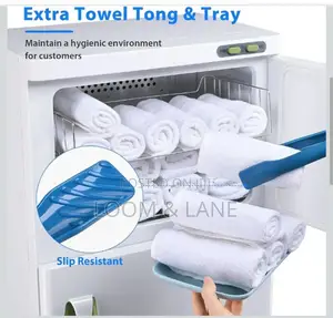Electric Dual-cabinet Hot Towel Warmer