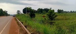 3 Acres Touching Jinja–Kamuli Highway for Sale – Buwenge.
