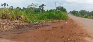 3 Acres Touching Jinja–Kamuli Highway for Sale – Buwenge.