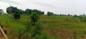 3 Acres Touching Jinja–Kamuli Highway for Sale – Buwenge.