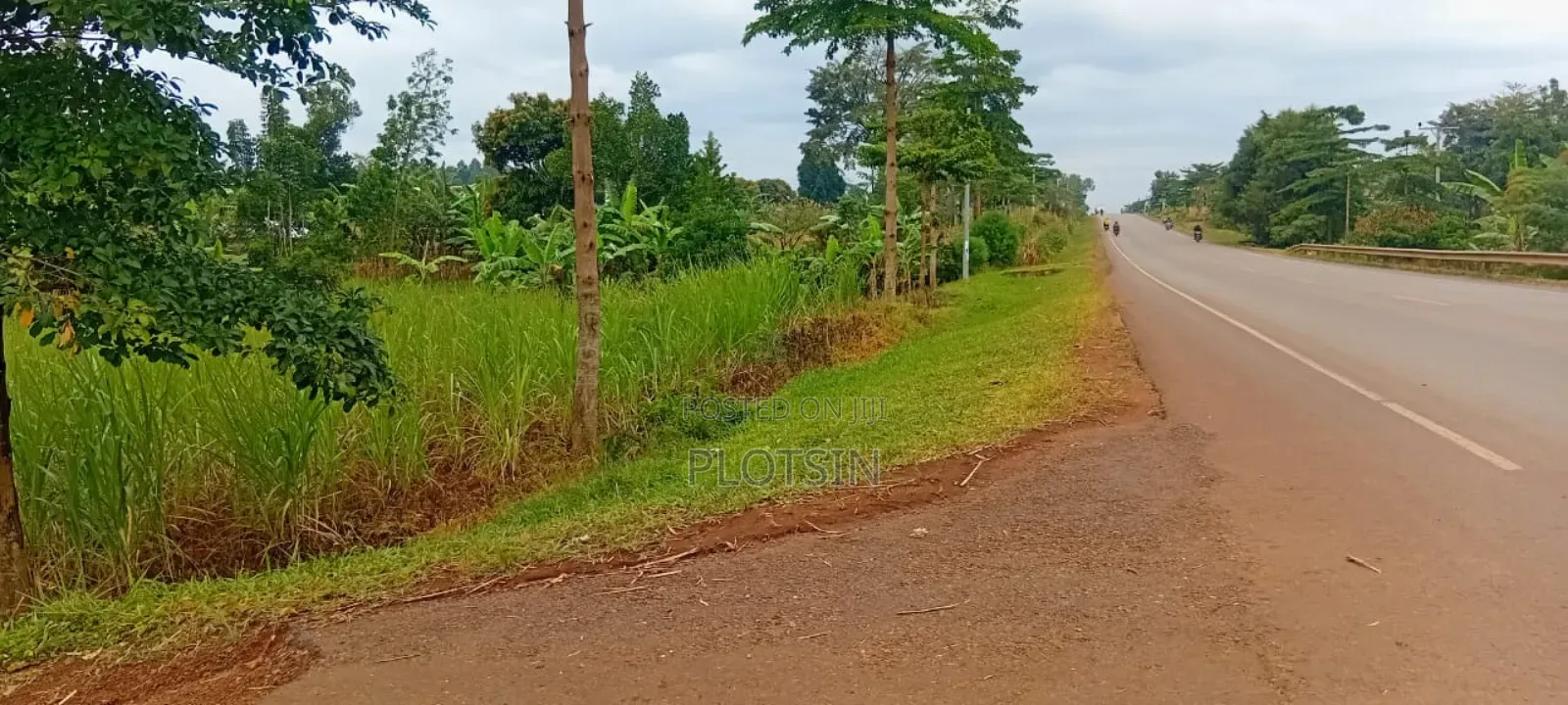 3 Acres Touching Jinja–Kamuli Highway for Sale – Buwenge.