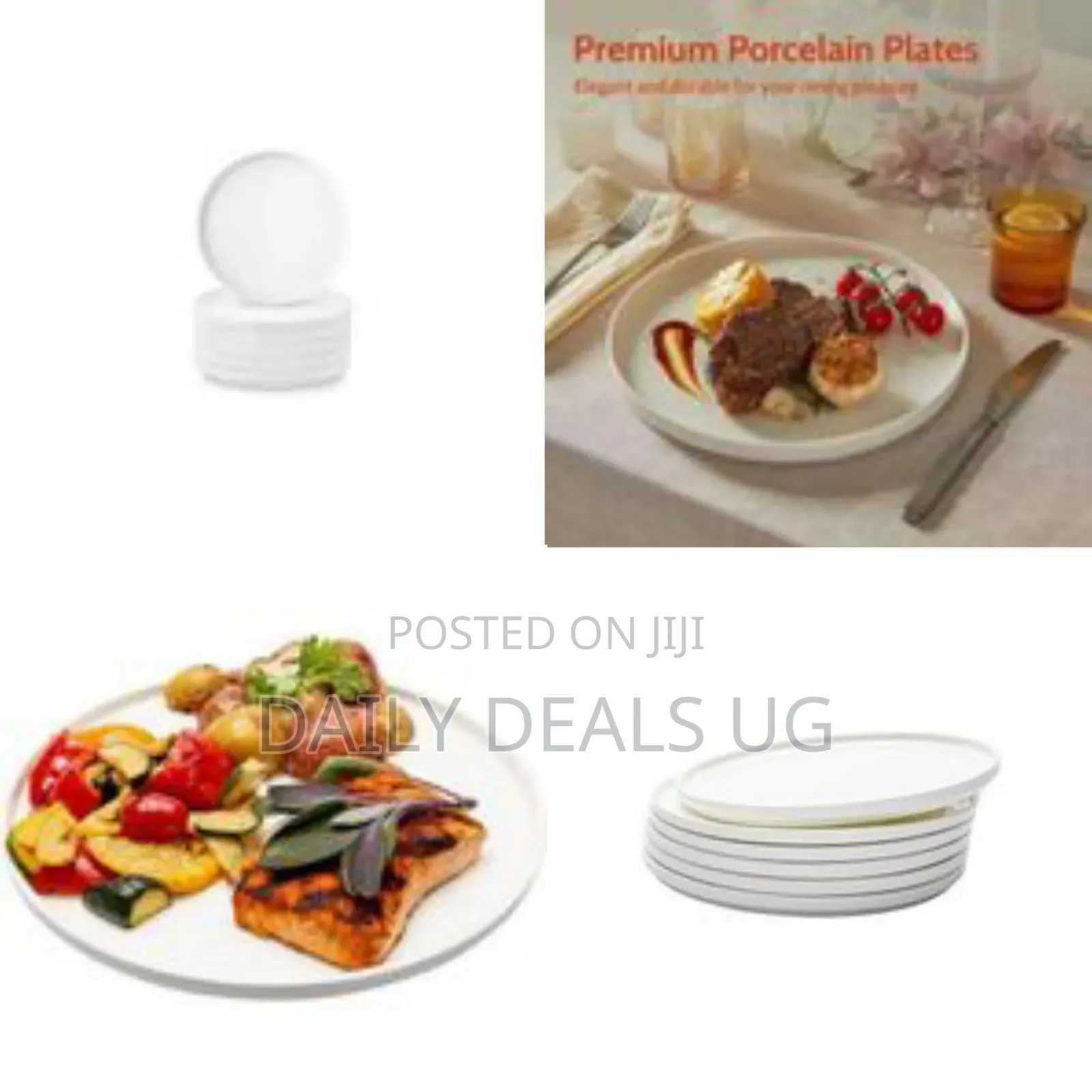 6-Piece Set of Classic White Porcelain Dinner Plates