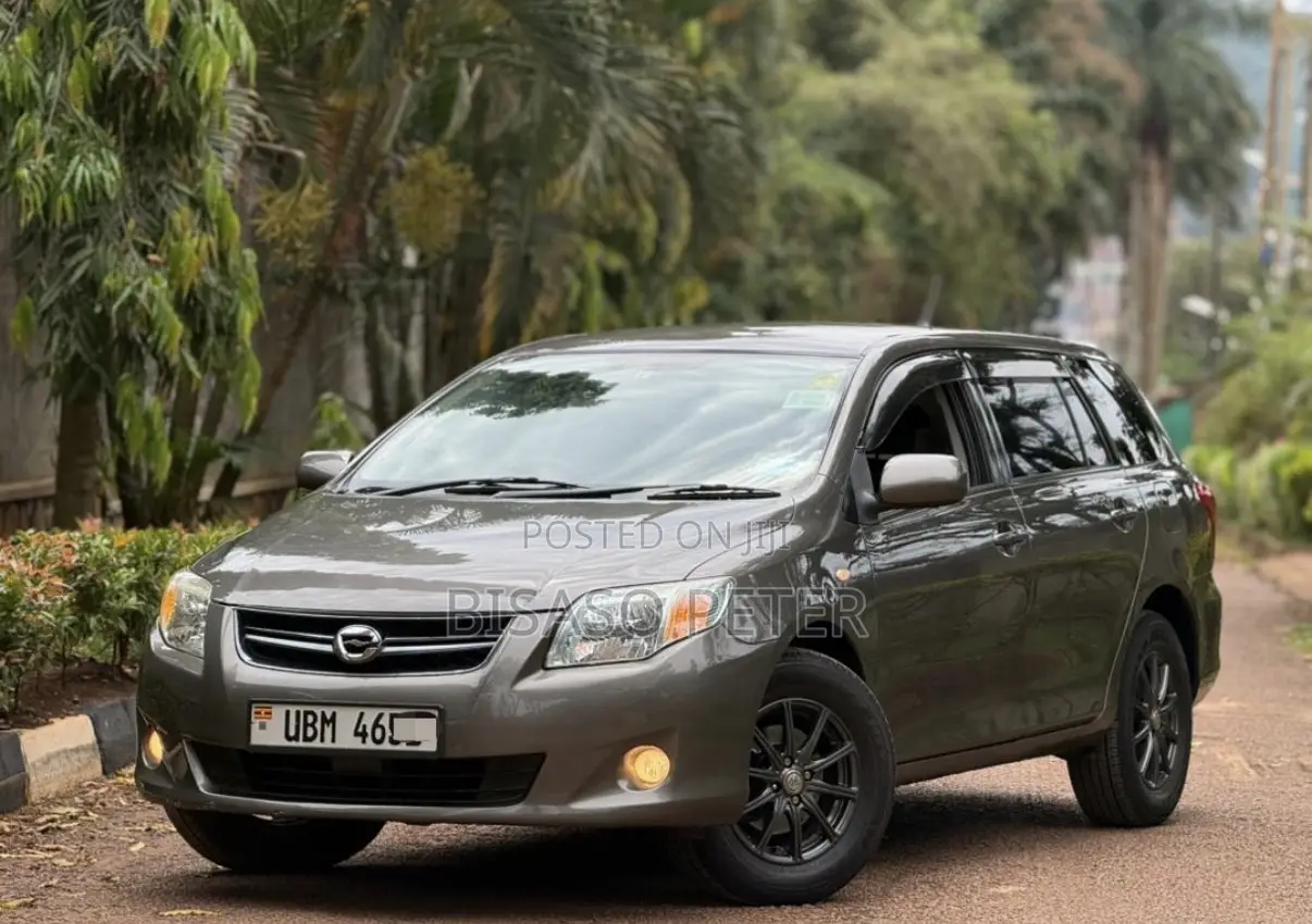 Toyota Corolla Fielder 1.5 Petrol FWD 2009 Gray