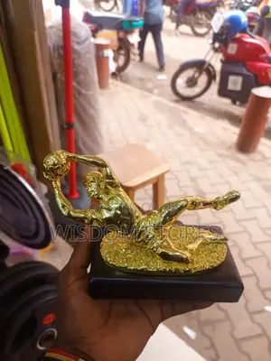 Goalkeeper Trophy.
