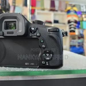 Lumix DMC Fz-100 Camera