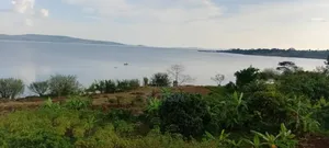 2.5 Acres of Land in Buwagajo, Touching Lake Victoria.