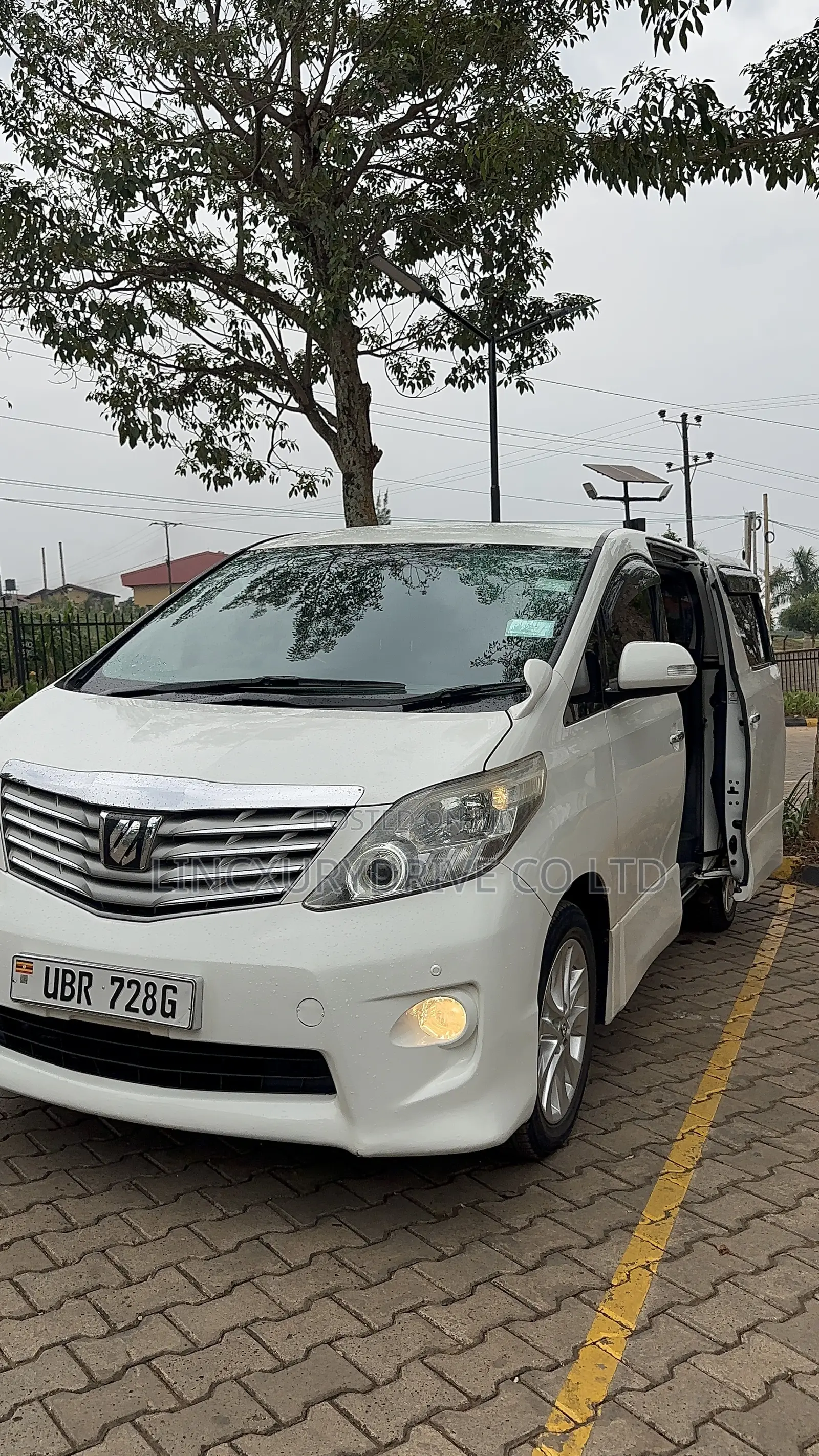 Alphard Available for Hire
