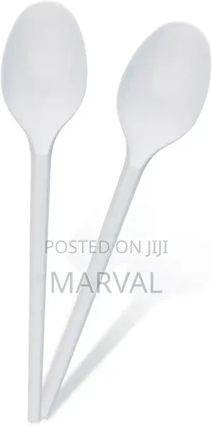 50pcs of Disposable Teaspoon S
