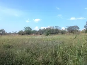Farmland for Sale in Nwoya | 2,370 Acres | Ugx 2.5m Per Acre