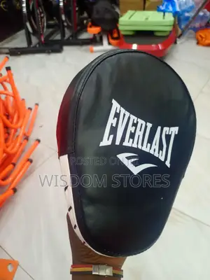 Everlast 1910 Focus Mitt.