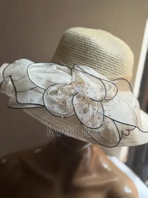 Elegant Nude Stylish Hat