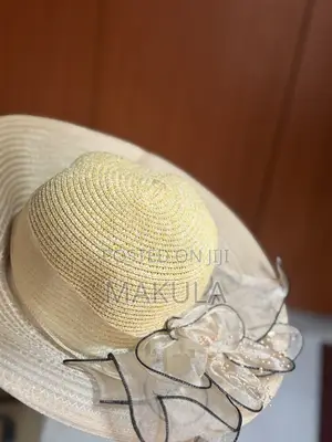 Elegant Nude Stylish Hat