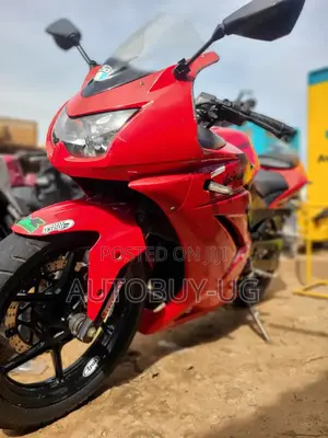 Kawasaki Ninja 300 2020 Red