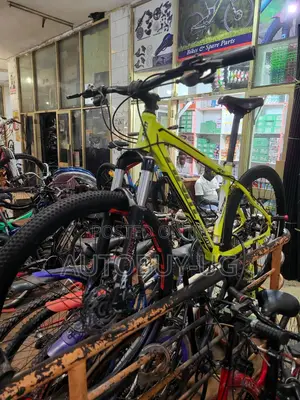 Mountain Bike