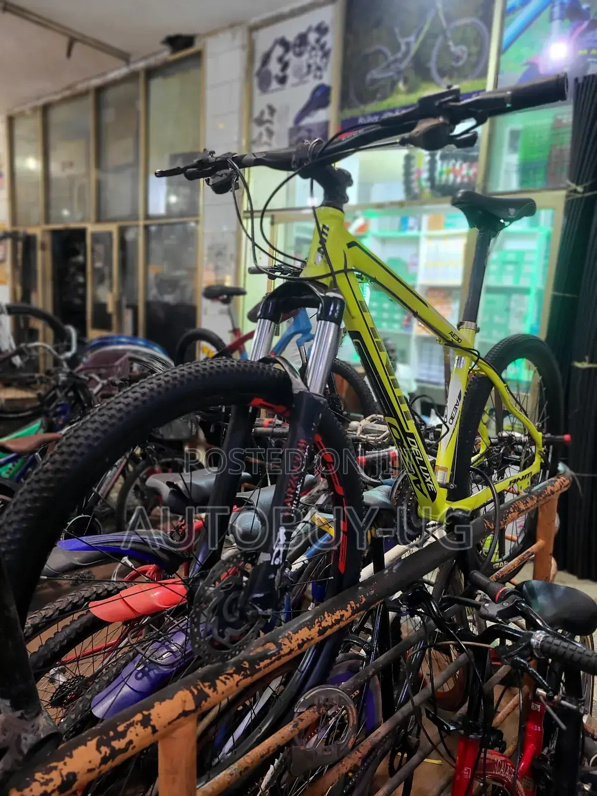 Mountain Bike