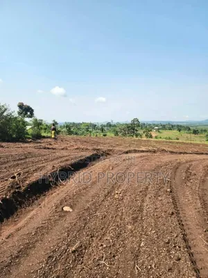 Prime Plots for Sale at Kakiri~Kikugi Bigambo Bitono Estate~Hoima Road