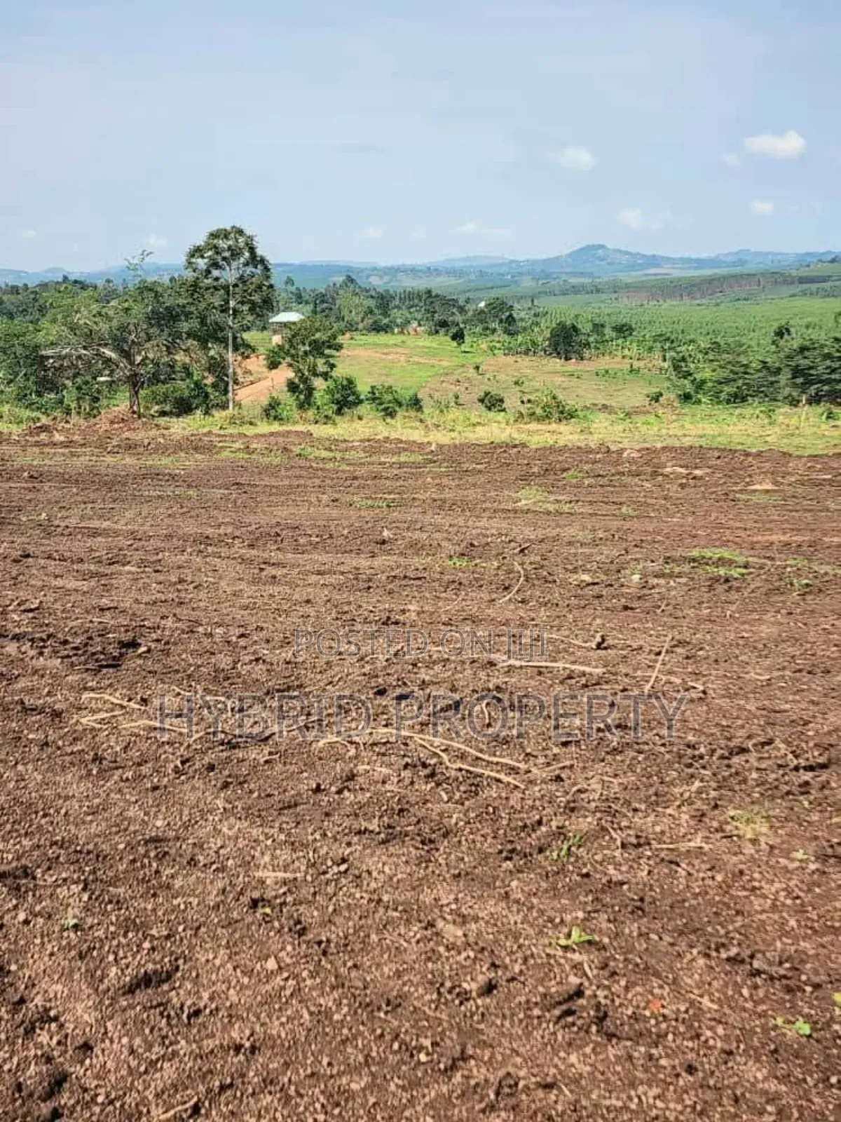 Prime Plots for Sale at Kakiri~Kikugi Bigambo Bitono Estate~Hoima Road