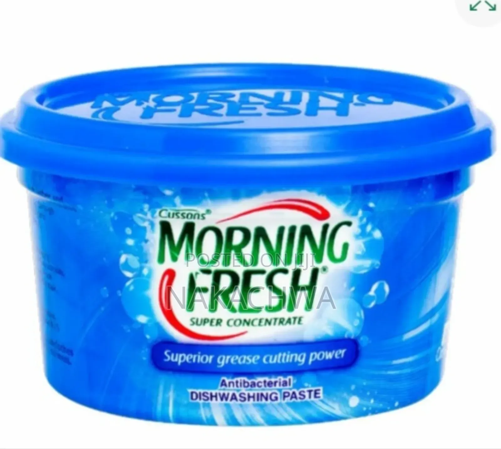 Its Morning Fresh Dish Washing Past of 800g