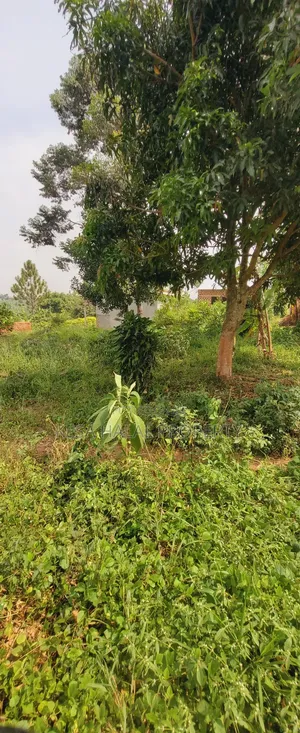Good 1.2 Acre for Sale After Migadde Bombo Rd Wakiso D/S