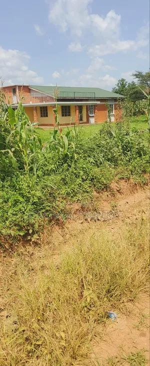 Good Commercial 15 Acres After Migade on Bombo Rd Good for Real Estate
